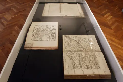 Silesia Picta (14)