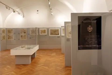 Silesia Picta (2)