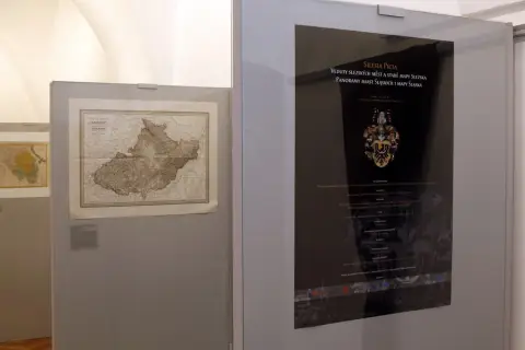 Silesia Picta (3)