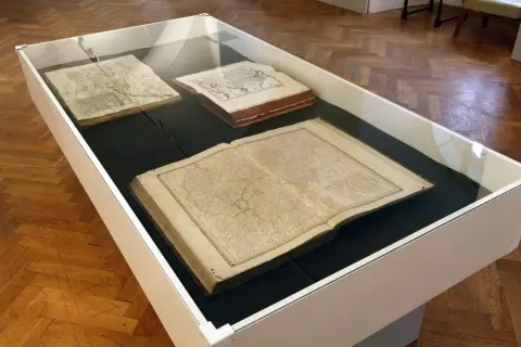 Silesia Picta (15)