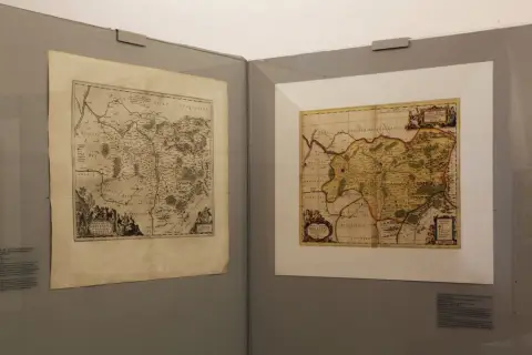 Silesia Picta (19)