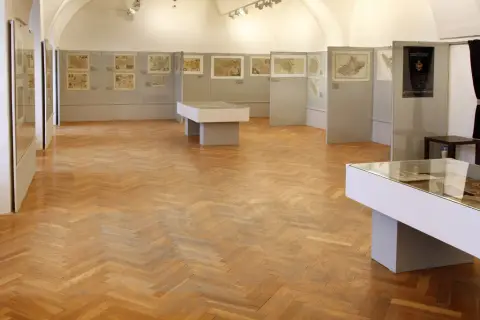 Silesia Picta (11)