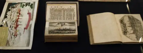 Silesia Picta (12)
