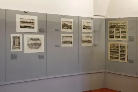 Silesia Picta (27)
