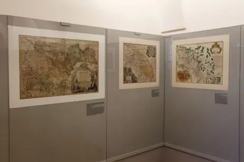 Silesia Picta (20)