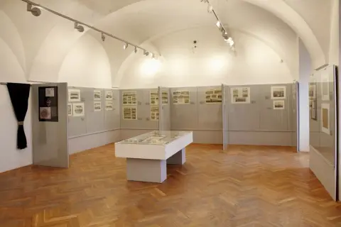 Silesia Picta (5)