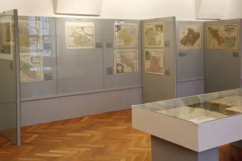 Silesia Picta (7)