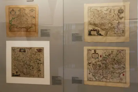 Silesia Picta (16)