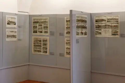Silesia Picta (26)