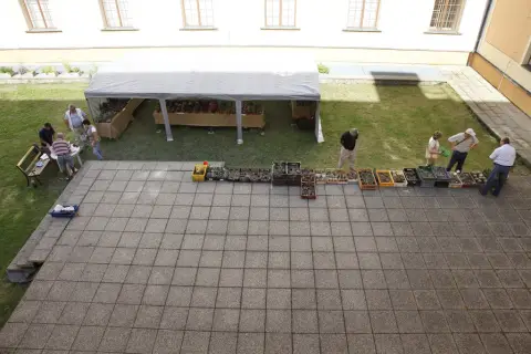 Výstava kaktusů a sukulentů (29)