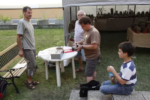 Výstava kaktusů a sukulentů (2)
