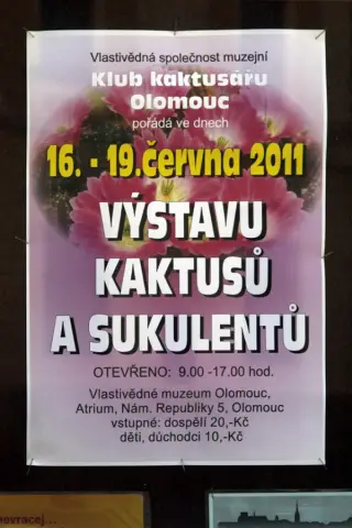 Výstava kaktusů a sukulentů (1)