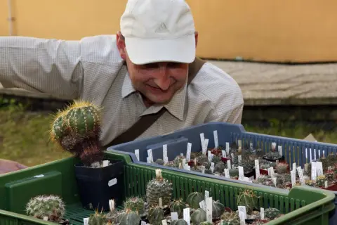 Výstava kaktusů a sukulentů (12)
