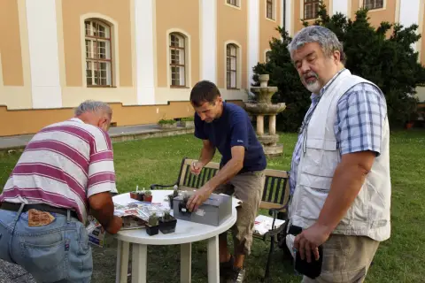 Výstava kaktusů a sukulentů (26)