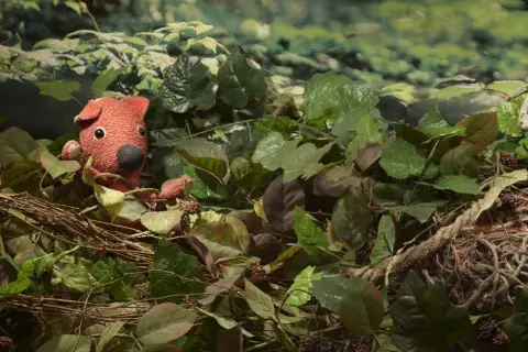 Kuky se vrací (12)