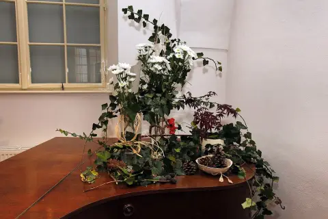 Kuky se vrací (218)