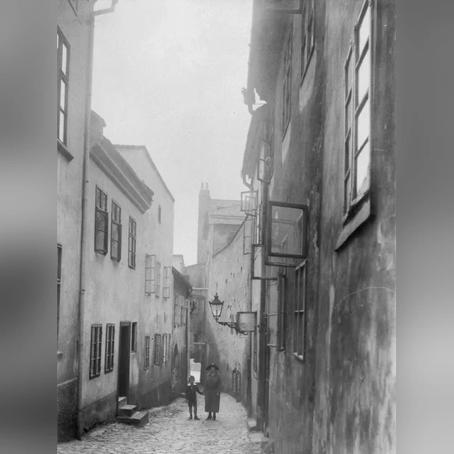 olomouc-pruhled-kozi-ulici-foto-1943-skleneny-negativ-9x12-cm-inv-c-c--9ec8a200a13b