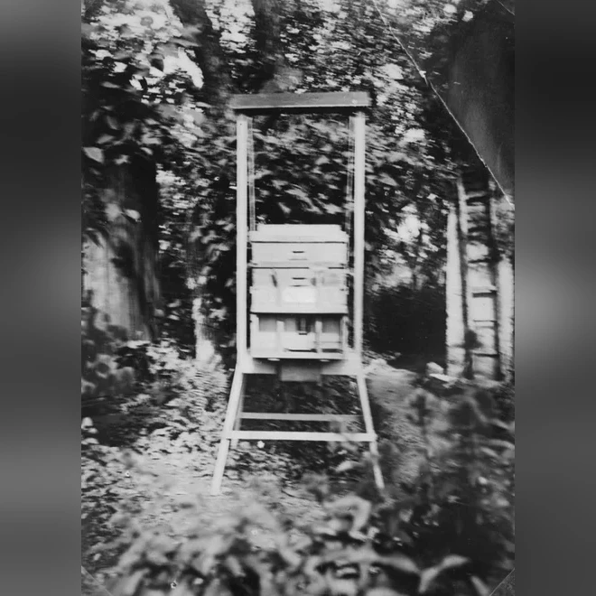 fotografie-mrstikova-specialne-upraveneho-ulu-amerikan-s-francouzskou--8458fd298c6b